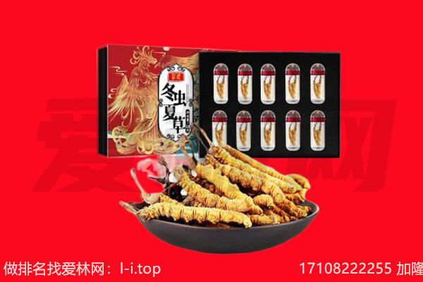 郏县回收虫草.jpg